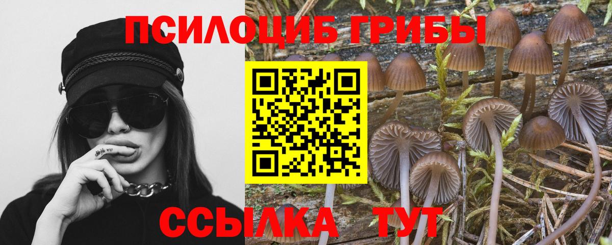 Псилоцибиновые грибы MAGIC MUSHROOMS  Вход с VPN  Казань 